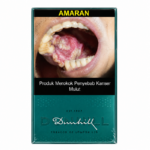 登喜路薄荷 Dunhill Menthol  (1条10盒）