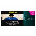 Terea 黑薄荷 Terea Black Green Menthol (一条10盒）